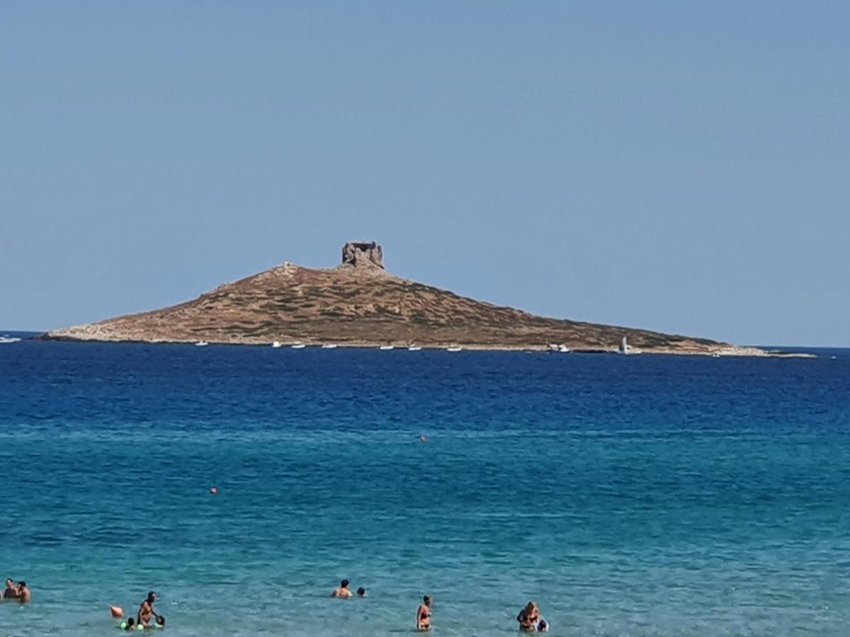 Casetta Delle Mimose Isola delle Femmine Kültér fotó
